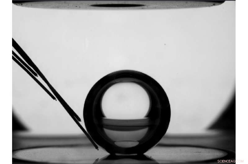 ESA’s Multiscale Boiling Experiment Captures Space Bubbles on the ISS