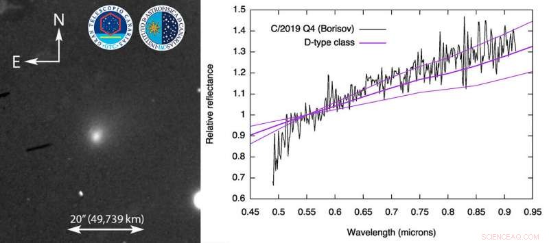 Visible Spectrum of Comet C/2019 Q4 (Borisov): First Confirmed Interstellar Comet Analysis