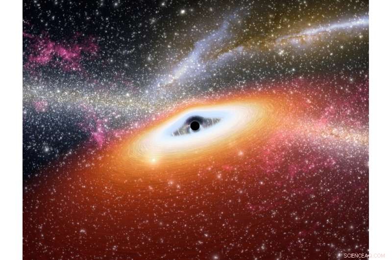 The Mystery of Missing Supermassive Black Hole Seeds in the Cosmic Landscape