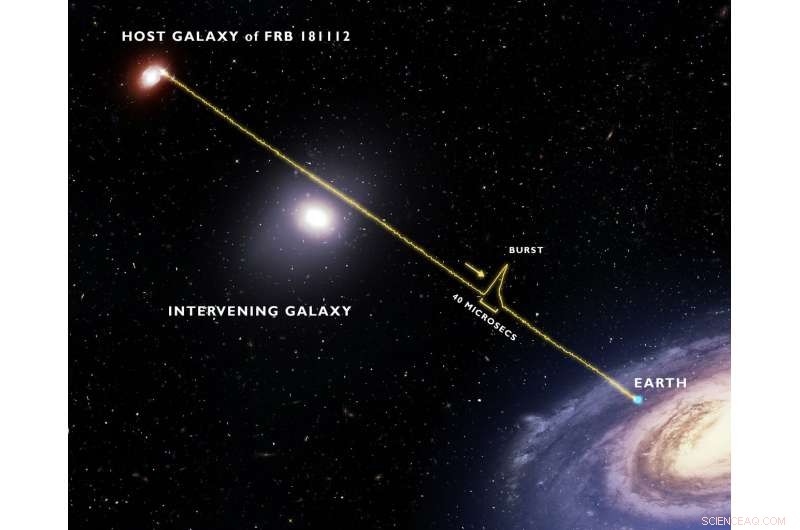 New Galaxy Revealed Floating in Serene Halo Gas