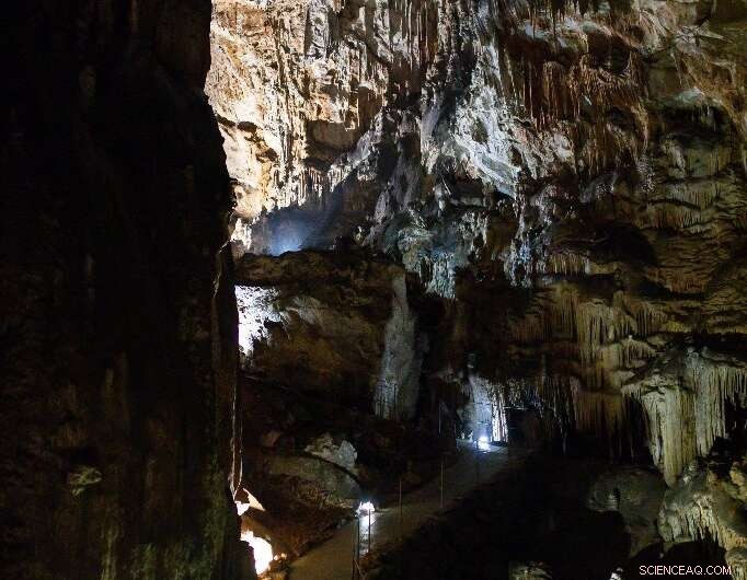 Training Astronauts Underground in Slovenia s Karst Caves for Future Space Missions