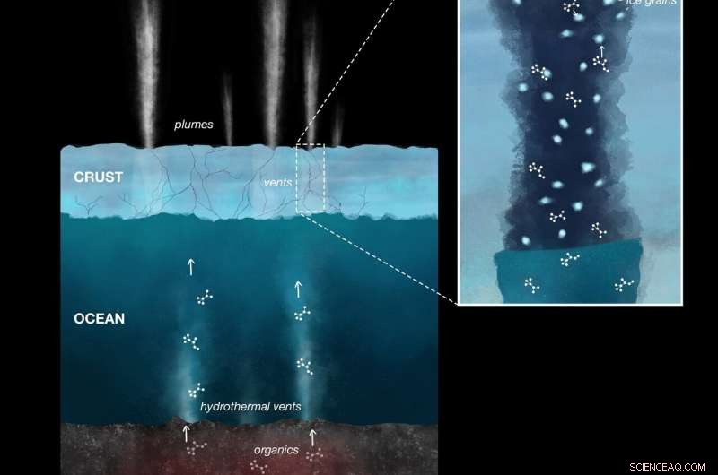 Discovery of Novel Organic Molecules in Enceladus Ice Grains