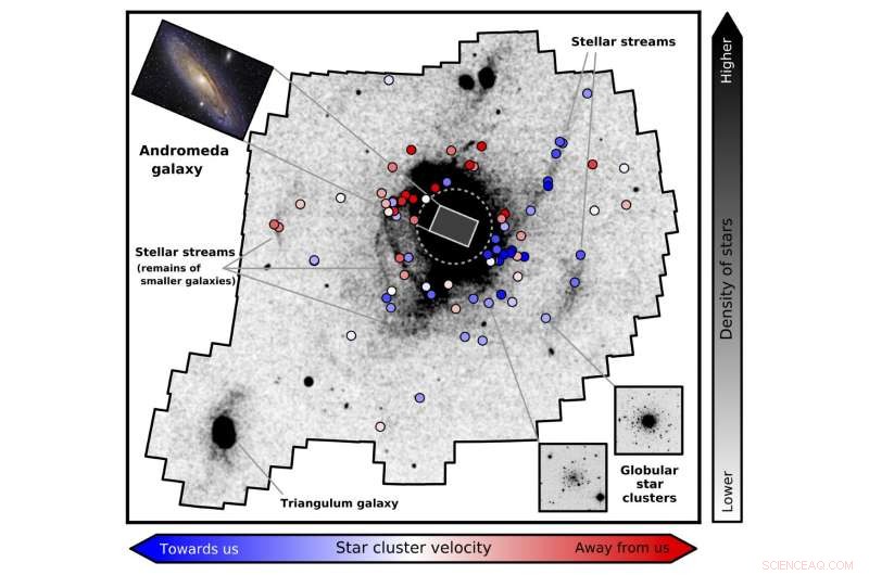 Andromeda s Cannibalistic Past Revealed: How the Neighboring Galaxy Builds Its Future