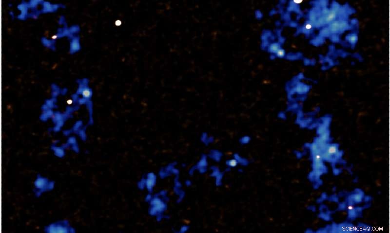 Galactic Filaments Drive Growth of Galaxies and Supermassive Black Holes