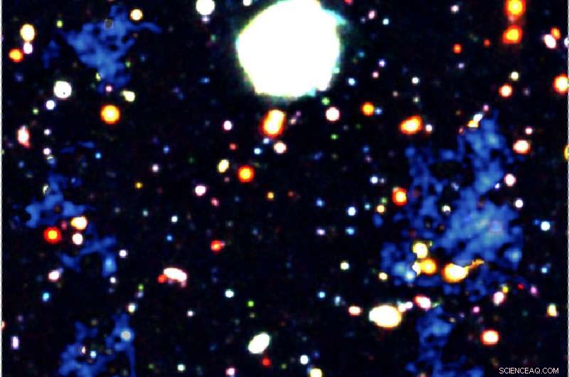 Galactic Filaments Drive Growth of Galaxies and Supermassive Black Holes