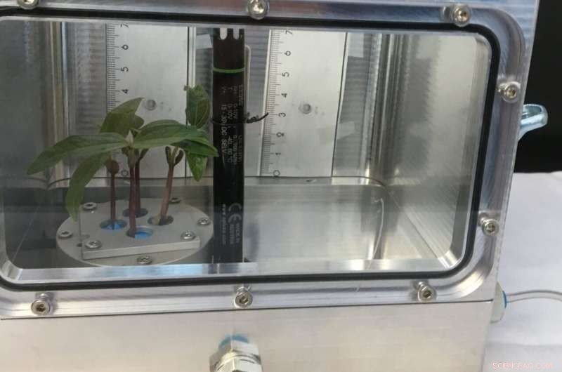 NTNU s Tumors in Space Project Investigates Cosmic Radiation s Cancer Risk