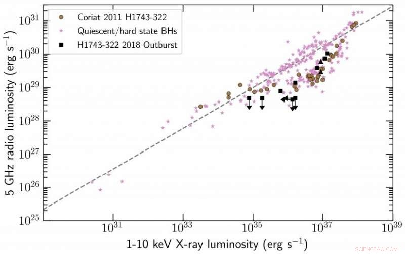 MeerKAT Unveils X-ray/Radio Link in H1743−322 Outburst, Advancing Black Hole Science