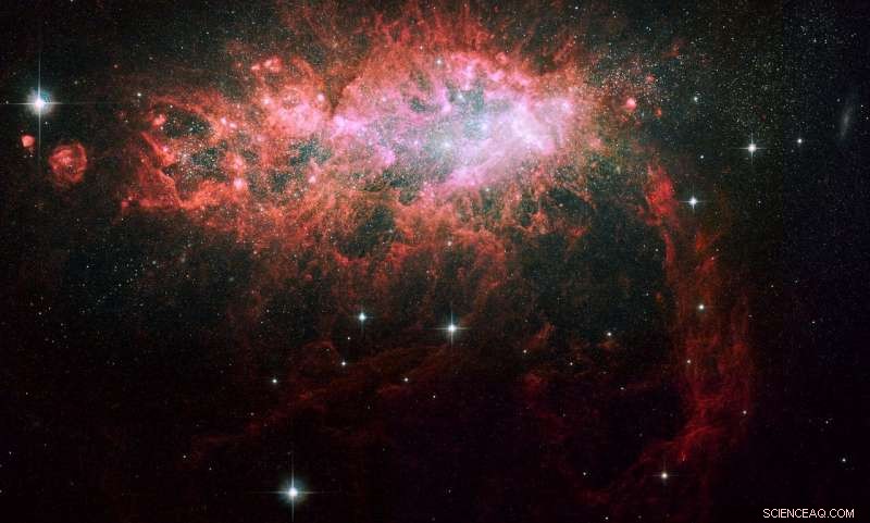 Supermassive Black Holes in Dwarf Galaxies Suppress Star Formation, Halting Their Growth
