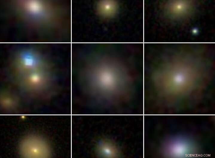Supermassive Black Holes in Dwarf Galaxies Suppress Star Formation, Halting Their Growth