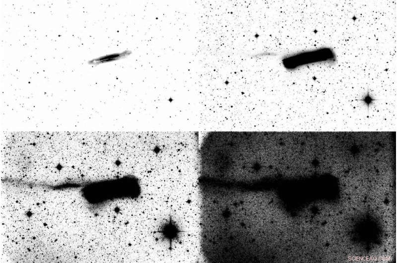 Heron Survey Reveals Intricate Structures in the Faint Outskirts of a Ghostly Dwarf Elliptical Galaxy