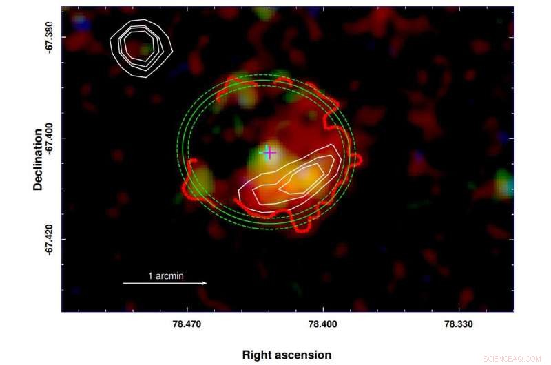 Discovery of a Young High‑Mass X‑Ray Binary in the Large Magellanic Cloud