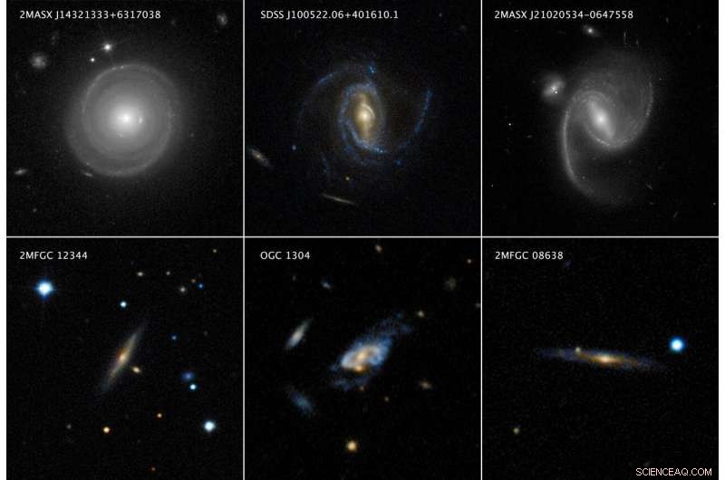 Dark Matter Drives Ultra-Massive Spiral Galaxies to Breakneck Speeds