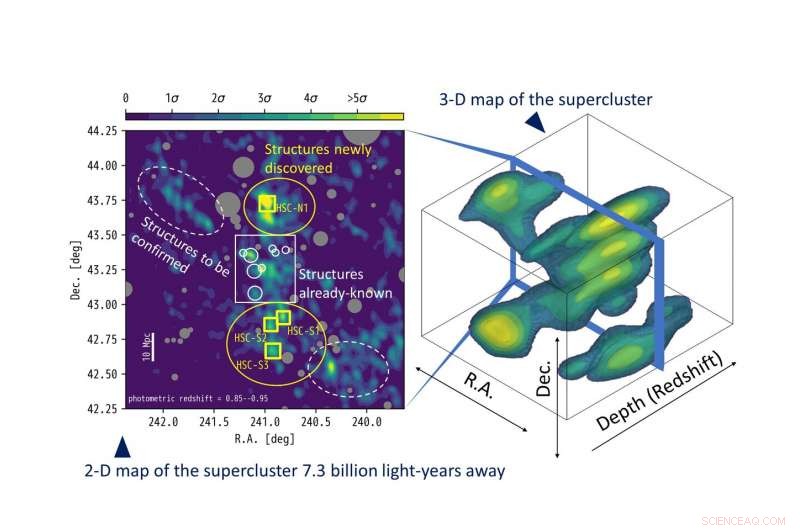 Unveiling the Full 3D Structure of a Distant Supercluster