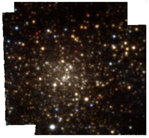 MUSE Spectroscopy Reveals New Properties of the Milky Way’s Terzan 9 Globular Cluster