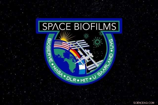 Managing Spaceborne Biofilms: Strategies for Prevention and Control