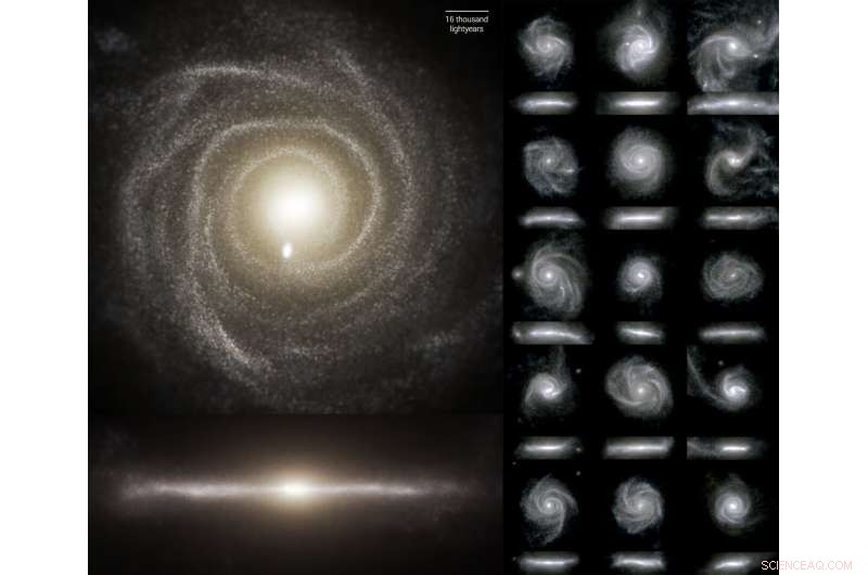 Galactic Fountains and Carousels: Revealing Order Amid Cosmic Chaos