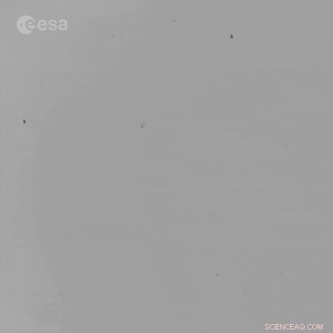 Simulating Planet Formation in Microgravity: Silica Dust Growth in a Drop Tower Experiment