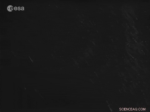 Simulating Planet Formation in Microgravity: Silica Dust Growth in a Drop Tower Experiment
