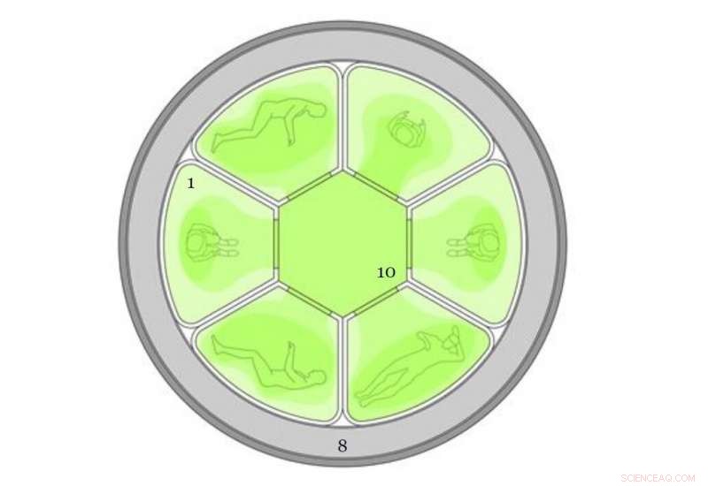Smaller Spacecraft Needed for Astronaut Hibernation