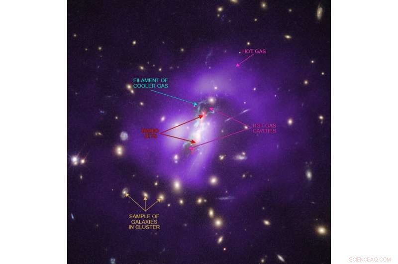 Black Hole Jets Ignite Star Formation: How Cosmic Blowtorches Fuel New Stars