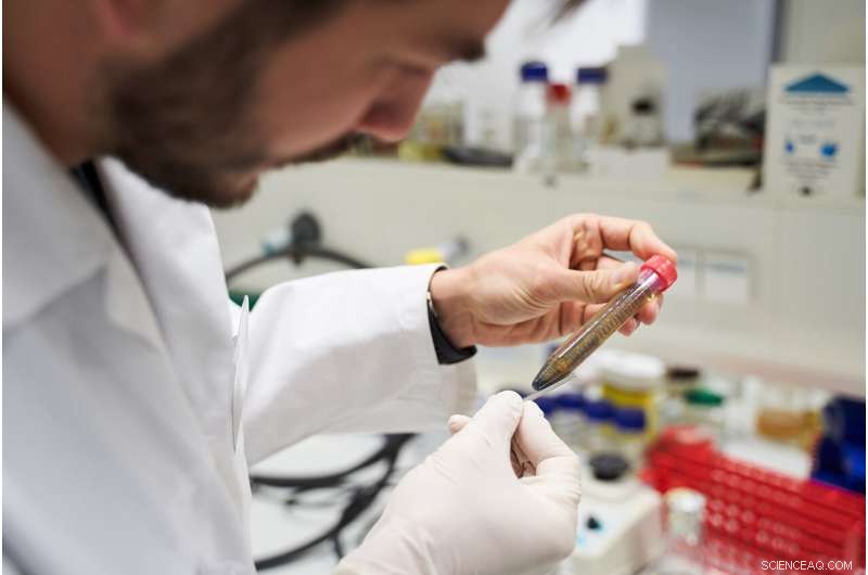 Bacteria-Powered Construction: Building a Sustainable Mars Base