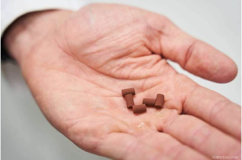 Bacteria-Powered Construction: Building a Sustainable Mars Base