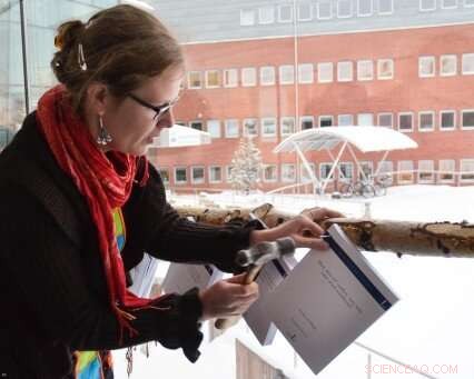 Understanding Magnetic Storms: Insights into Earth s Past