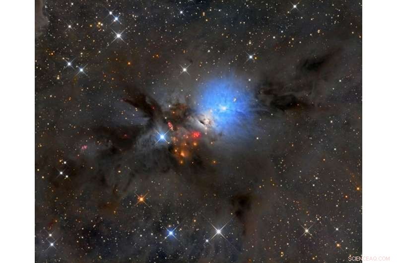 Exploring Molecular Chemistry in Turbulent Interstellar Clouds