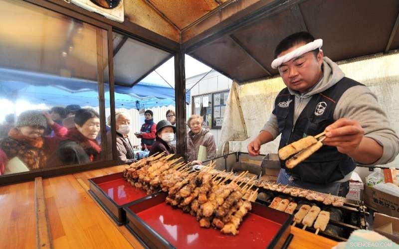 Japanese Yakitori Chicken Approved for Astronaut Meals
