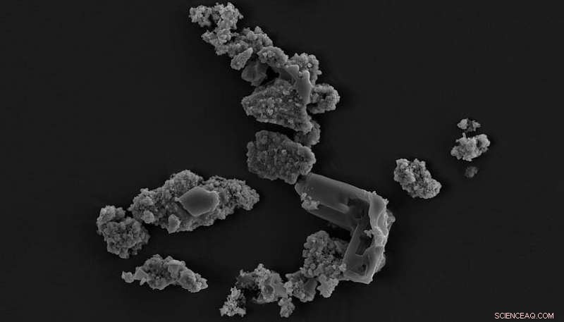 Microorganism M. sedula Harnesses Energy from Meteorite Dust