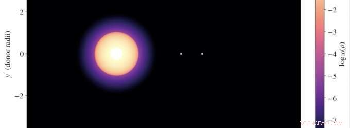 New Class of X‑ray Star Systems Unveiled by Harvard‑Smithsonian Researchers