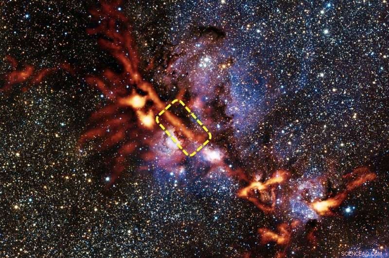 New Insights into the Origins of Stellar Mass Distribution