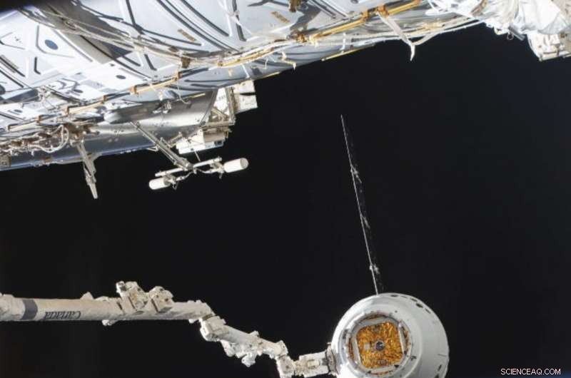 SpaceX Dragon Delivers Mice, Worms, and a Smart Robot to the ISS