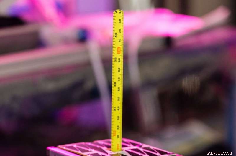 Harnessing Lasers and Miniature Satellites to Accelerate Space-Based Data Transmission