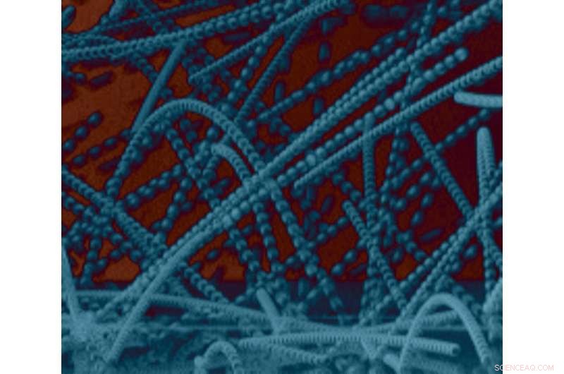 From Dust to Planets: How Tiny Particles Stick Together