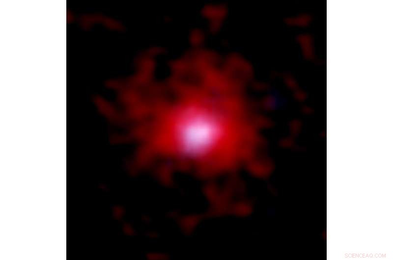 ALMA Reveals Carbon  Cocoons  Around Early Galaxies, Unveiling Universe’s First Pollution