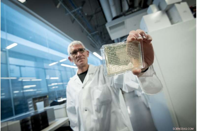 Scientists Explore Yeast-Based Shielding to Safeguard Astronauts from Space Radiation