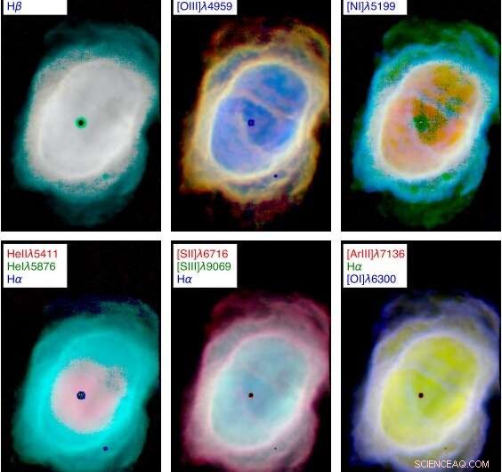 MUSE Unveils New Insights into Planetary Nebula NGC 3132