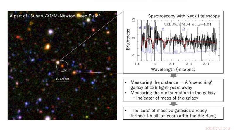 Massive Galaxies  Cores Formed Within 1.5 Billion Years of the Big Bang