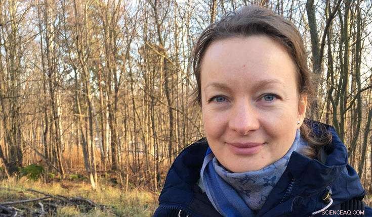 Rapid & Accurate Fireball Analysis: New Method Enhances Space Meteoroid Tracking