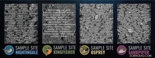 How Citizen Scientists Enabled NASA’s Bennu Asteroid Mapping