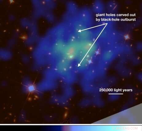 Explosive Black Hole Outburst Carves Giant Cavities, Unveiling Galaxy Cluster Evolution