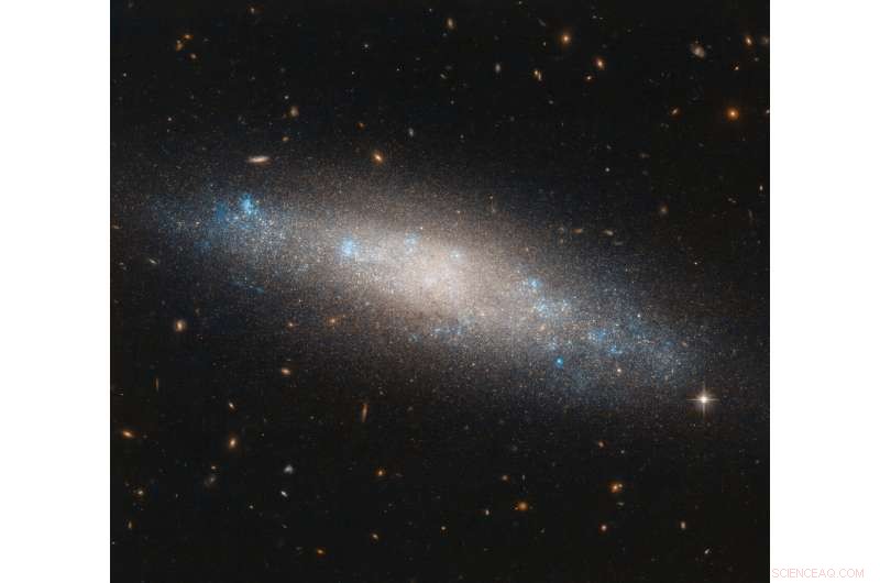 Hubble Reveals Spiral Galaxy NGC 4455 in Coma Berenices