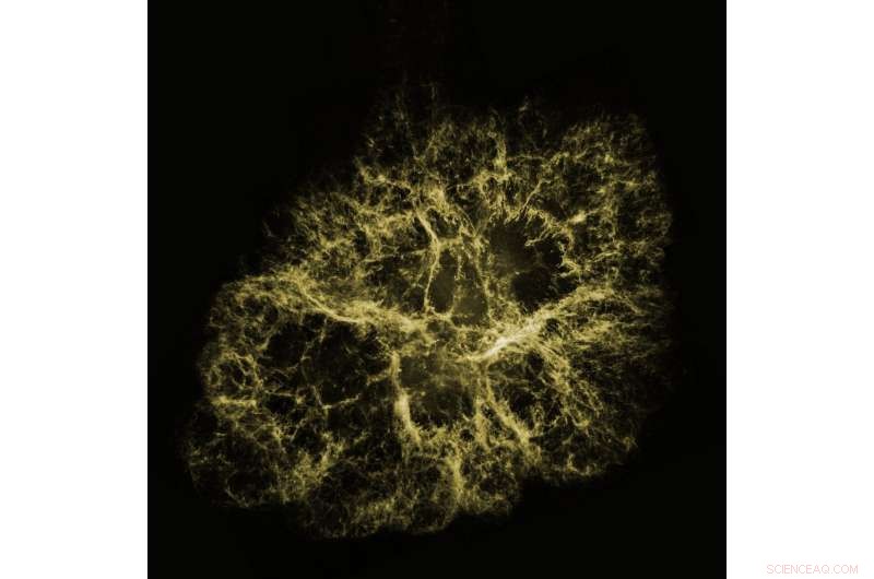 NASA’s Great Observatories Create 3‑D Visual of the Crab Nebula Explosion