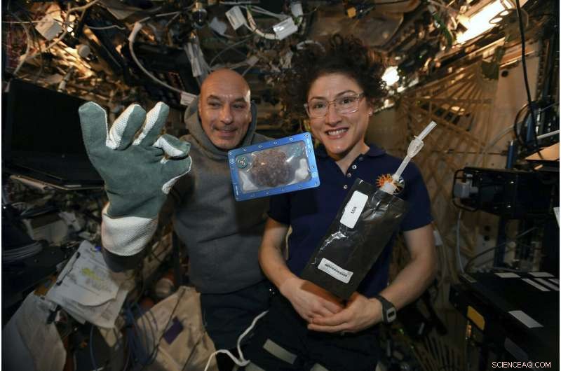 Astronauts’ Zero‑G Cookies Return to Earth via SpaceX