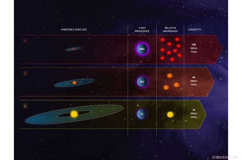 Goldilocks Stars: The Optimal Search Grounds for Life Beyond Earth