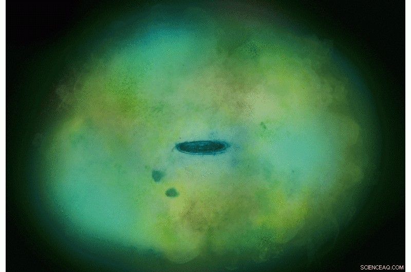 XMM-Newton Uncovers Hot Gas in the Milky Way’s Halo