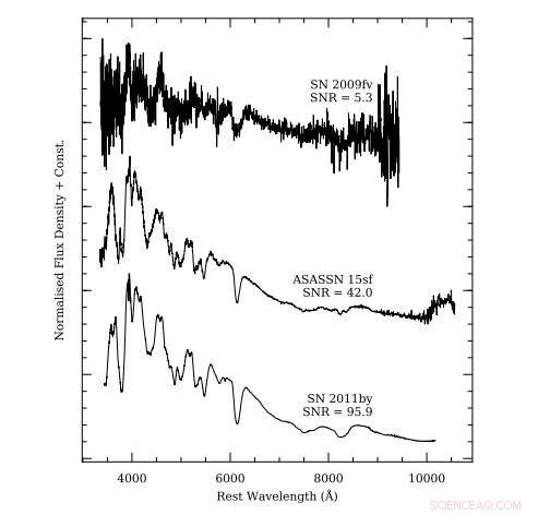BSNIP Unveils Over 200 Type Ia Supernova Spectra – A Global Data Release