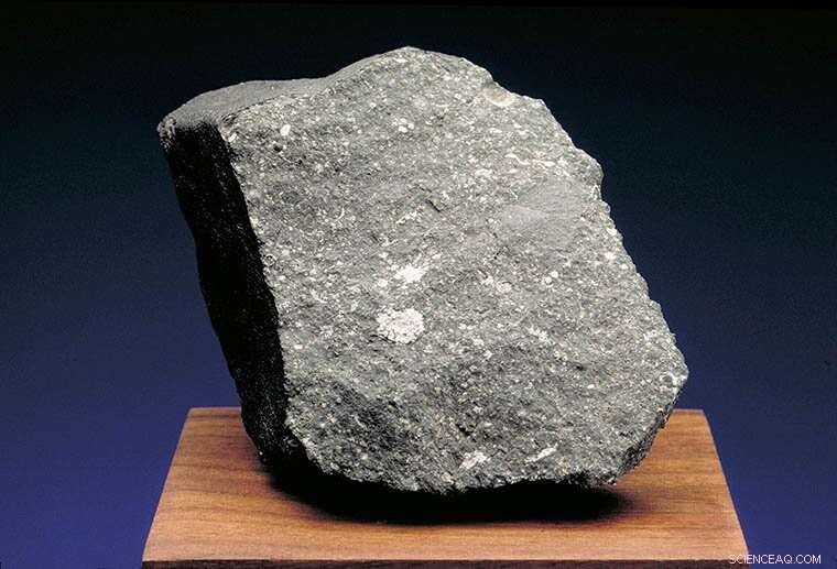 Allende Meteorite Fragment Reveals Unexpected Presolar Grains