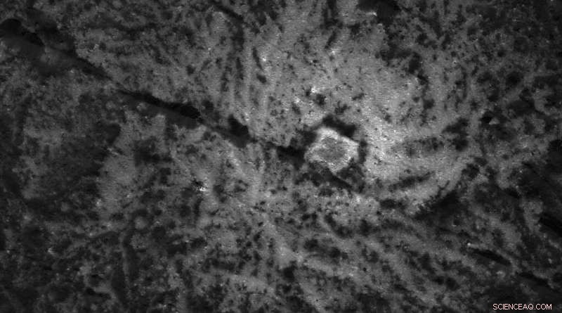 AI May Mislead as Much as Human Observation in the Search for Extraterrestrial Life